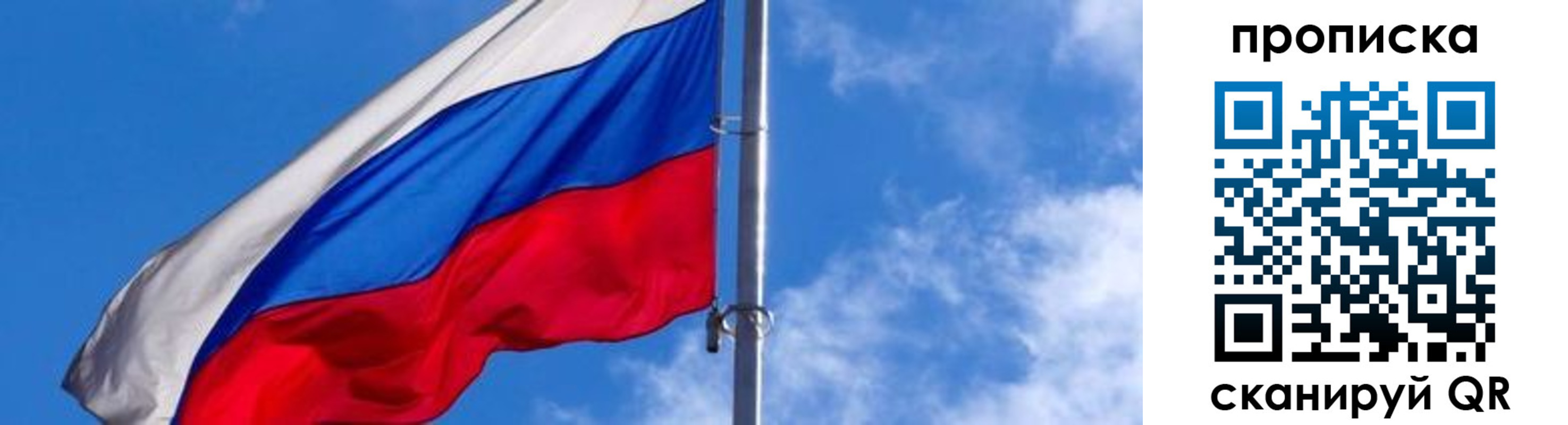 прописка поиск в Владимире